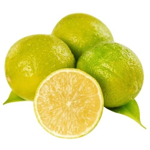 o4